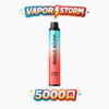 VAPOR STORM 5000口