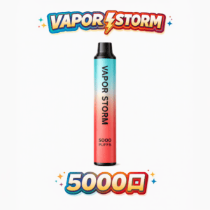 VAPOR STORM 5000口