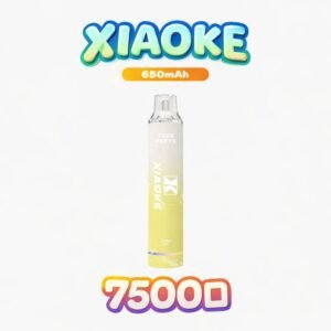 XIAOKE 梟客 7500 口 長效續航拋棄式主機 8ml巨量油倉 一支抵五支 650mAh 可充電 出遊必備 台灣現貨直發